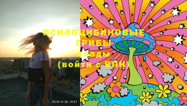 не бодяженный Надым
