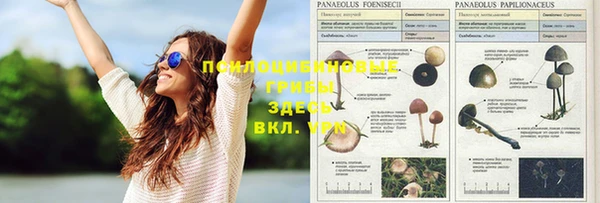 не бодяженный Надым