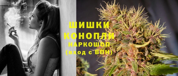 СК Навашино