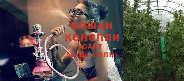 не бодяженный Надым