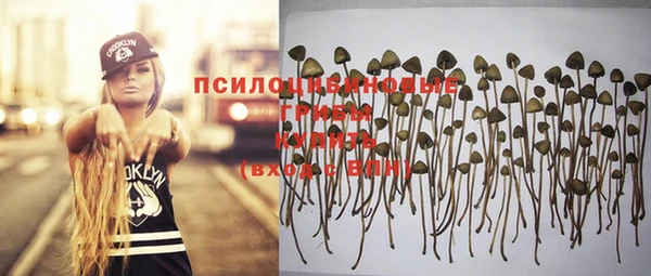 соль ск Наволоки